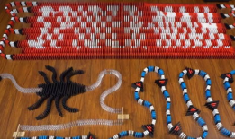 多米诺骨牌视频,一场视觉与数学的完美交响