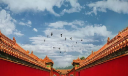 故宫视频,千年古建筑的现代魅力