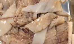 鱿鱼视频,揭秘现实与虚拟的生存挑战